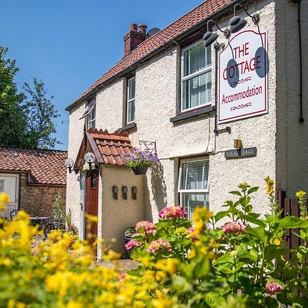 The Cottage Bristol Exterior photo