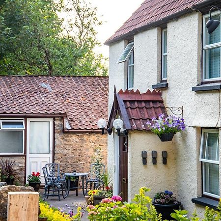 The Cottage Bristol Exterior photo