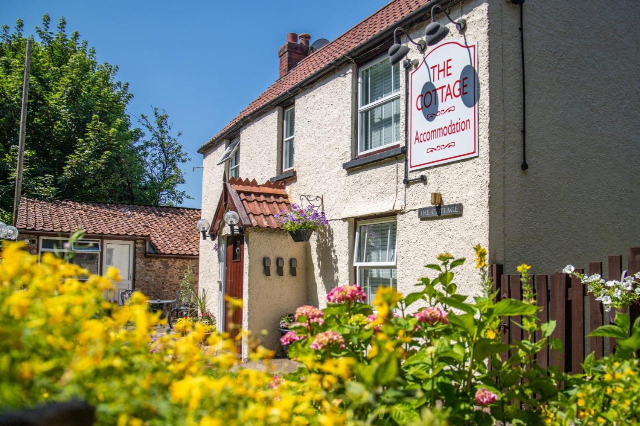 The Cottage Bristol Exterior photo