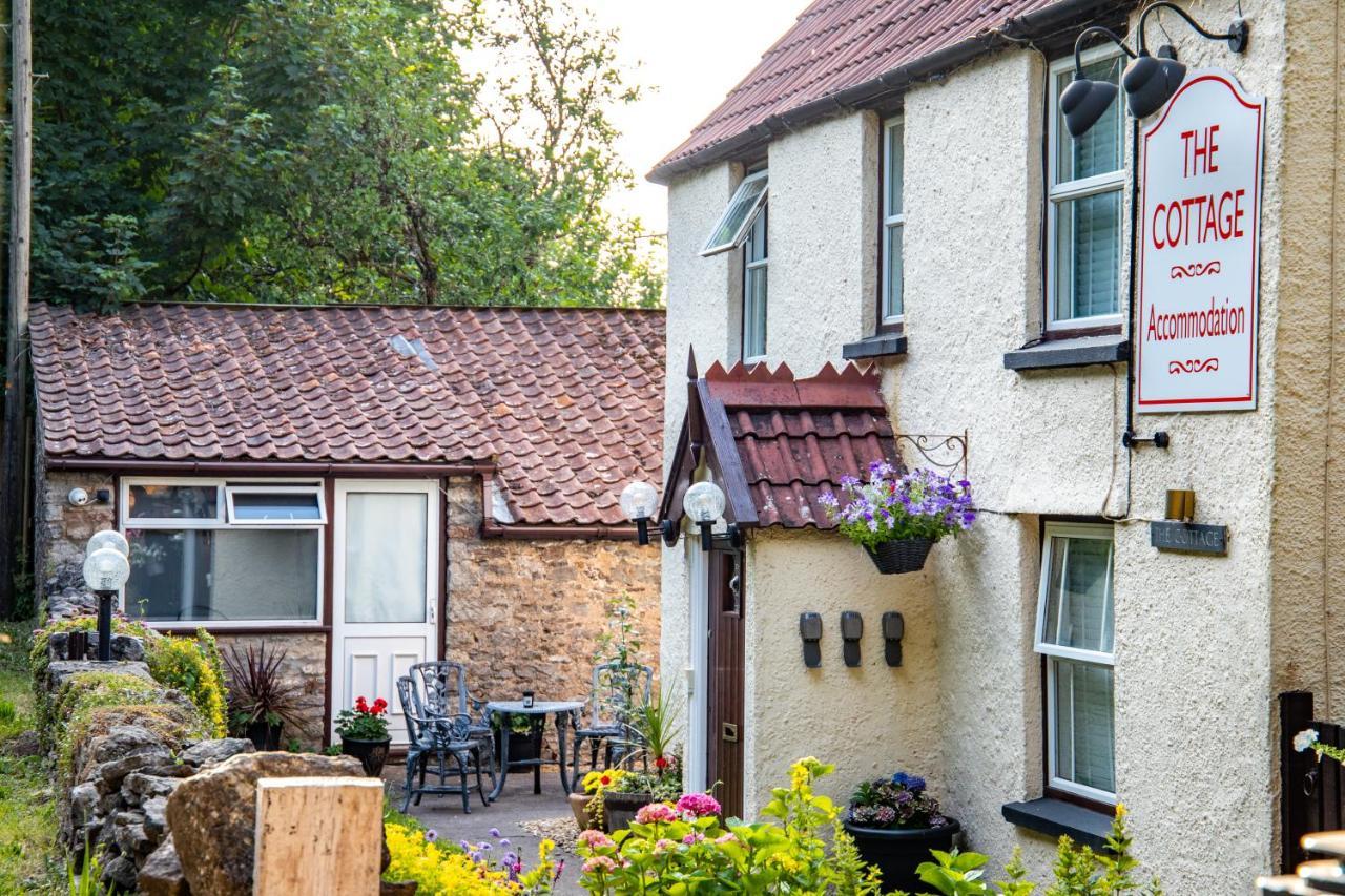 The Cottage Bristol Exterior photo